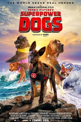 超级救援狗.2019.BD1080P.AAC.H264.CHS-ENG.BTSJ6.torrent