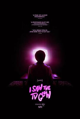 荧屏在发光.2024.HD1080P.AAC.H264.CHS.BTSJ6.torrent