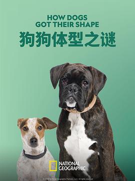 狗狗体型之谜[中文字幕].2016.1080p.WEB-DL.H264.AAC-SONYHD.torrent
