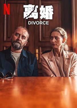 离婚.2024.HD1080P.AAC.H264.CHS.BTSJ6.torrent
