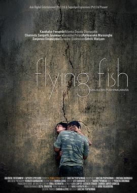 飞鱼.2011.HD1080P.AAC.H264.CHS.BTSJ6.torrent