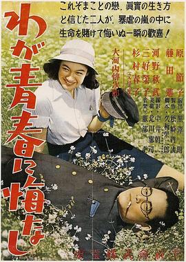 我对青春无悔[中文字幕].1946.1080p.KKTV.WEB-DL.AAC.H264-ParkHD.torrent