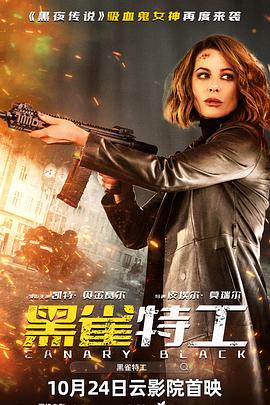黑雀特工[国英多音轨中文字幕].2024.2160p.EDR.WEB-DL.DDP5.1.Atmos.H265.2Audio-ParkHD.torrent
