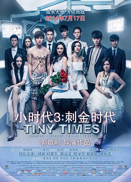 小时代3：刺金时代.2014.郭敬明.杨幂.柯震东.高清1080P.torrent