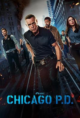 芝加哥警署第十二季.2024.S12E11.HD1080P.AAC.H264.CHS-ENG.BTSJ6.torrent