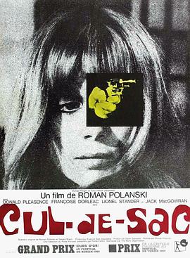 荒岛惊魂[简繁英字幕].1966.CC.1080p.BluRay.Remux.AVC.FLAC.1.0-SONYHD.torrent