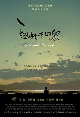 翅膀下的风[中文字幕].2010.2160p.WEB-DL.AAC.H265-ParkHD.torrent