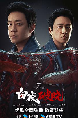 白夜破晓[全29集][中文字幕].S02.2024.1080p.WEB-DL.H264.AAC-ZeroTV.torrent