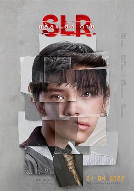 单反相机[中文字幕].2022.1080p.WEB-DL.AAC.H264-ParkHD.torrent