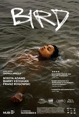鸟.2024.HD2160P.AAC.H264.CHS-ENG.BTSJ6.torrent