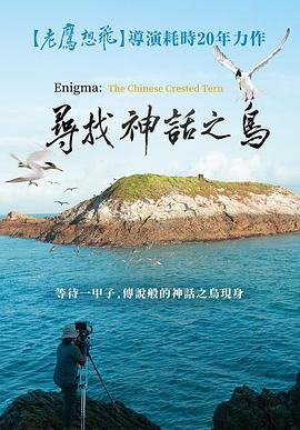 寻找神话之鸟[国语音轨].2021.1080p.KKTV.WEB-DL.AAC.H264-ParkHD.torrent