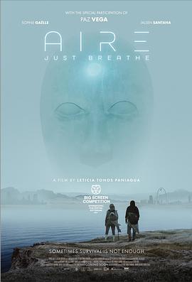 空气.2024.HD1080P.AAC.H264.CHS.BTSJ6.torrent