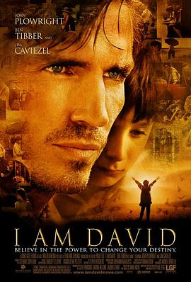 我是大卫.2003.BD1080P.AAC.H264.CHS.BTSJ6.torrent