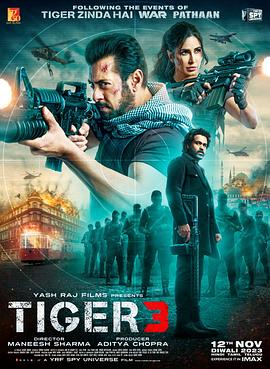 猛虎3[简繁英字幕].2023.1080p.Bluray.REMUX.AVC.DTS-HDMA5.1-DreamHD.torrent