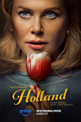 荷兰镇.2025.HD1080P.AAC.H264.CHS.BTSJ6.torrent