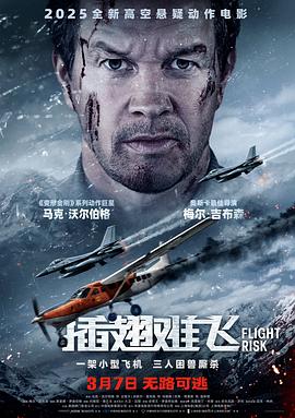 插翅难飞.2025.BD1080P.AAC.H264.CHS-ENG.BTSJ6.torrent
