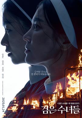 黑修女们.2025.HD1080P.AAC.H264.CHS.BTSJ6.torrent