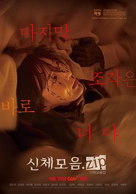 身体集合.zip.2023.HD1080P.AAC.H264.CHS.BTSJ6.torrent