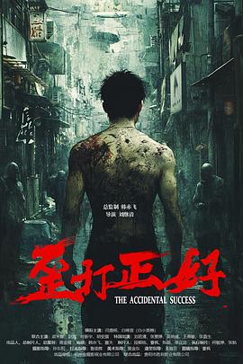 歪打正好[中文字幕].2025.1080p.WEB-DL.AAC.H265-ParkHD.torrent
