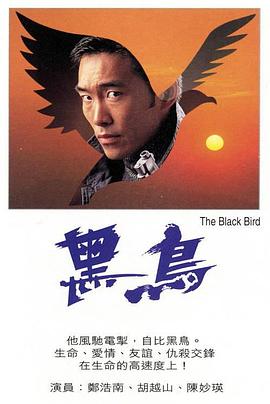 黑鸟[粤语配音].1995.1080p.MyTVSuper.WEB-DL.H265.AAC-QuickIO.torrent