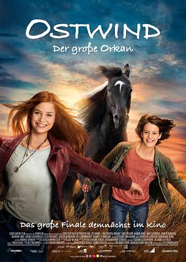 骏马奥斯温5.2021.BD1080P.AAC.H264.CHS.BTSJ6.torrent