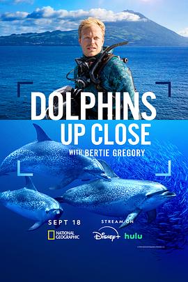 摄影师贝尔蒂与海豚零距离.2025.HD1080P.AAC.H264.CHS.BTSJ6.torrent