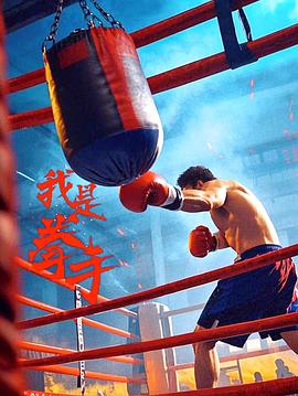 我是拳手[中文字幕].2025.1080p.WEB-DL.H264.AAC-QuickIO.torrent