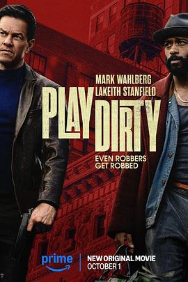 盗亦有道.2025.HD1080P.AAC.H264.CHS-ENG.BTSJ6.torrent