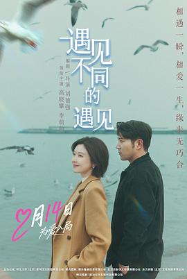 遇见不同的遇见[中文字幕].2026.1080p.WEB-DL.H264.AAC-QuickIO.torrent